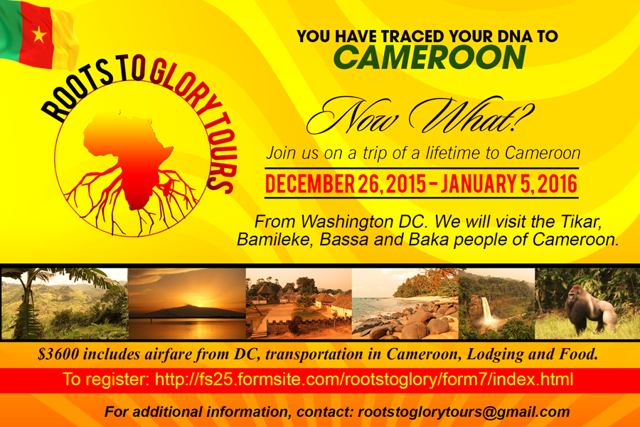 Read more about the article Cameroon 2015