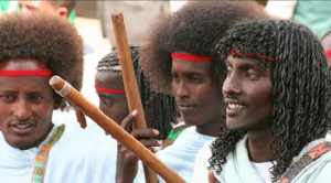 Read more about the article The Afar Tribe