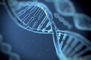 DNA Testing Options